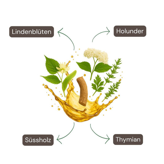 Kältetrank Pflanzenextrakt-Spray 50ml