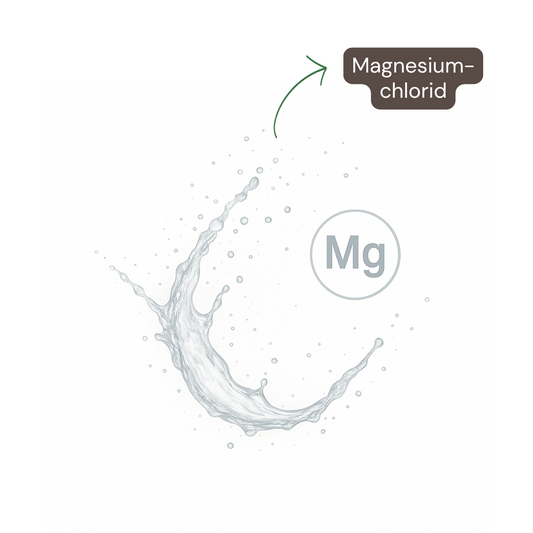 Magnesiumchlorid Sole-Spray 100ml