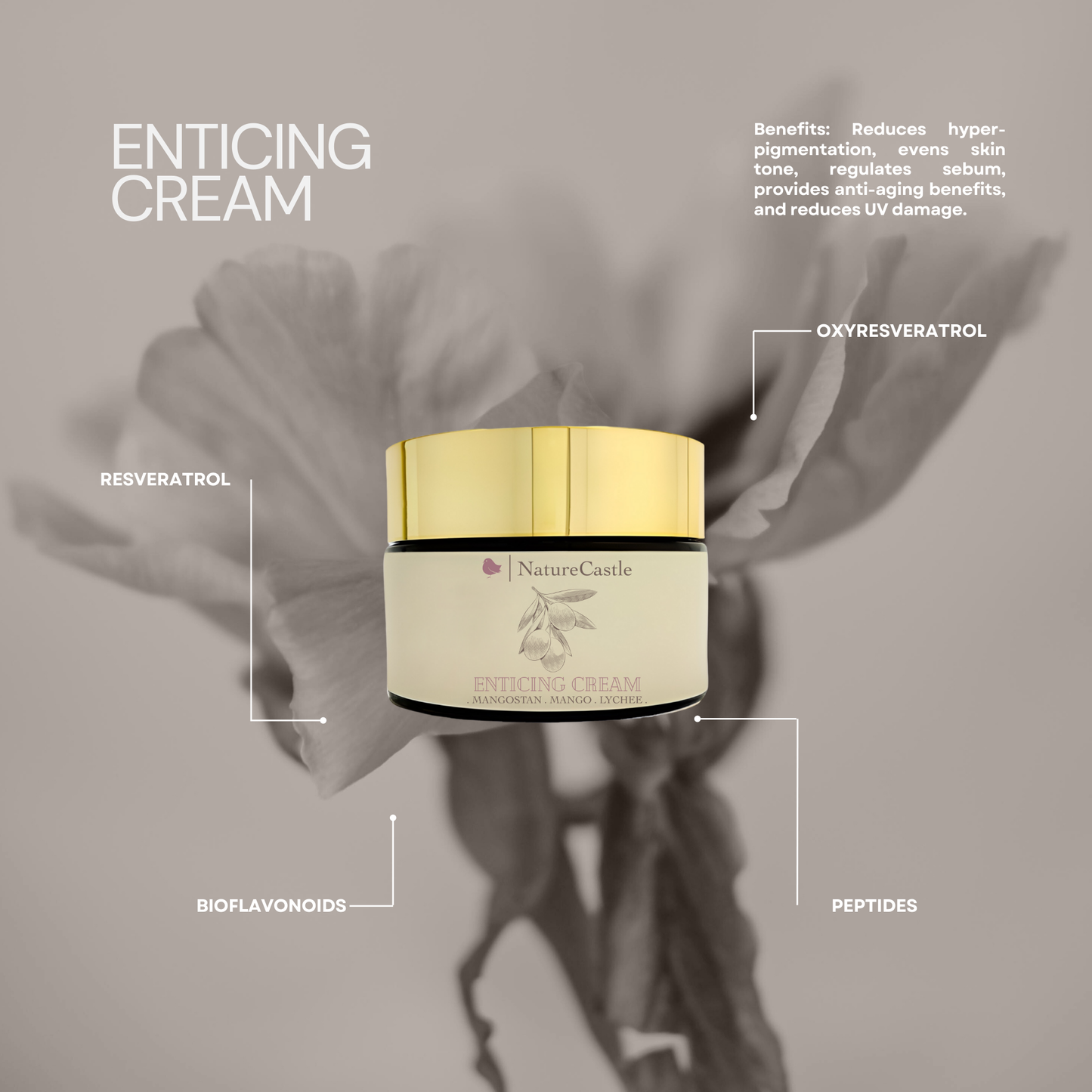 Enticing Cream Key Ingredients-2