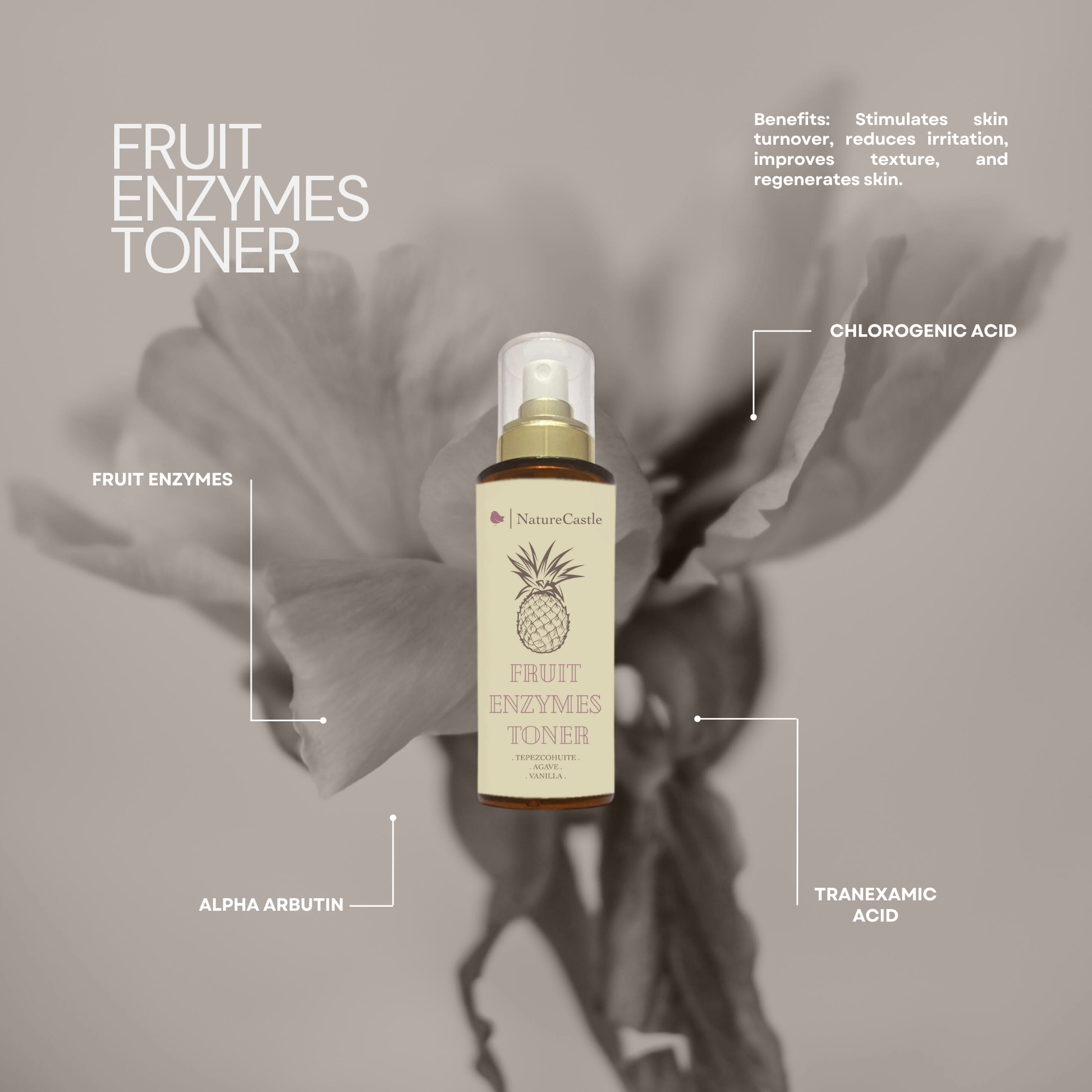 Fruit Enzyme Toner Key Ingredients-1