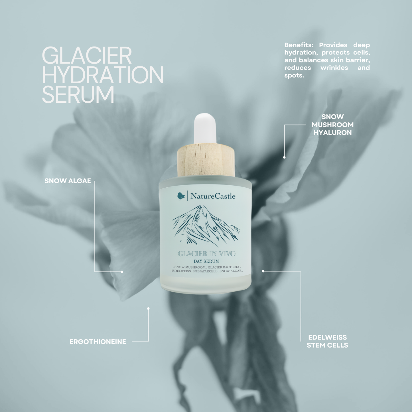 Glacier Hydration Serum Key Ingredients-2