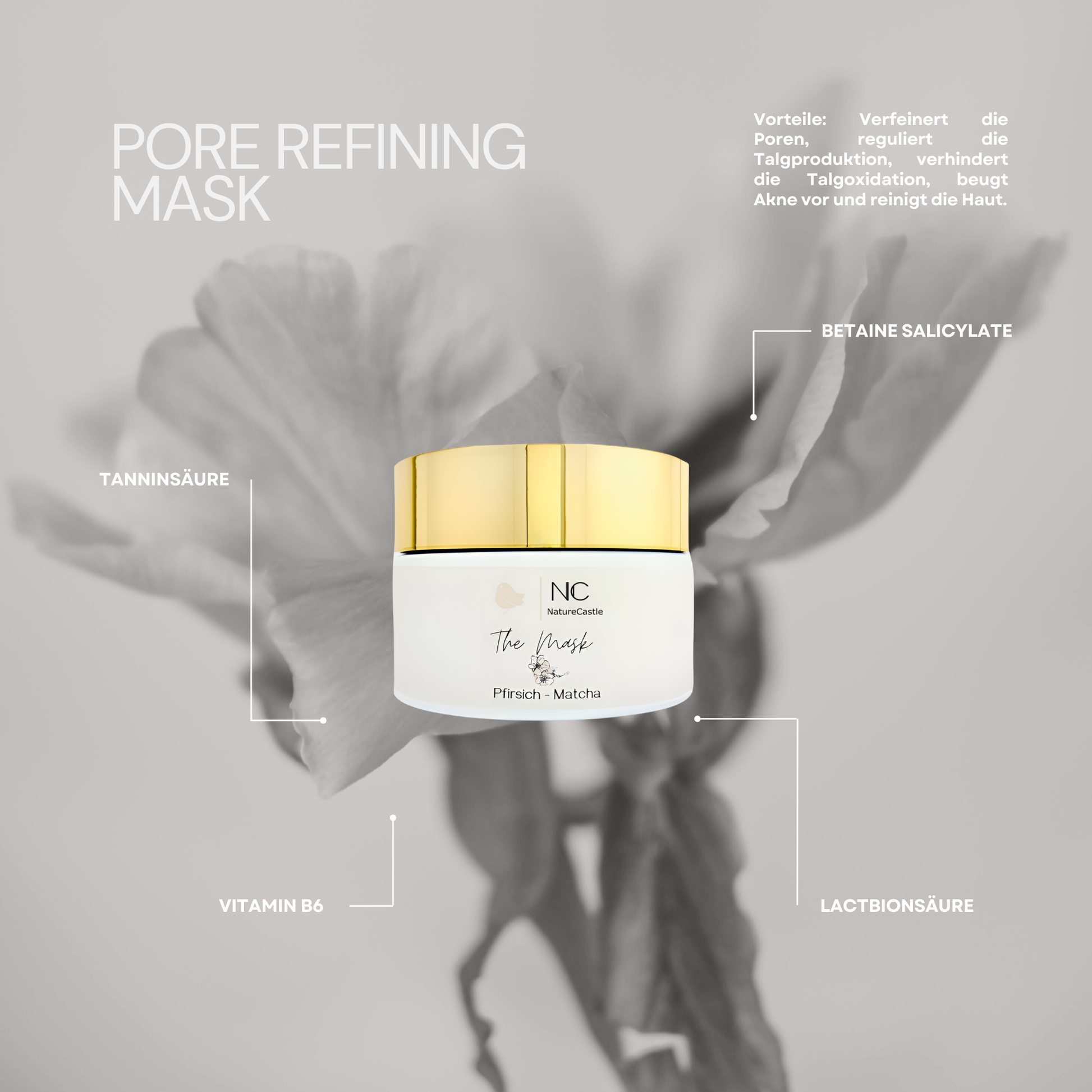 Pore Refining Mask Hauptzutaten-2