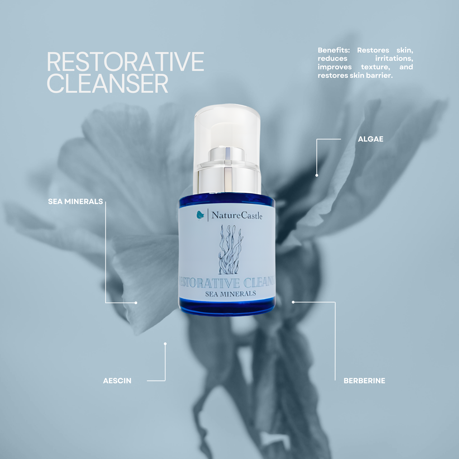 Restorative Cleanser Key Ingredients-1