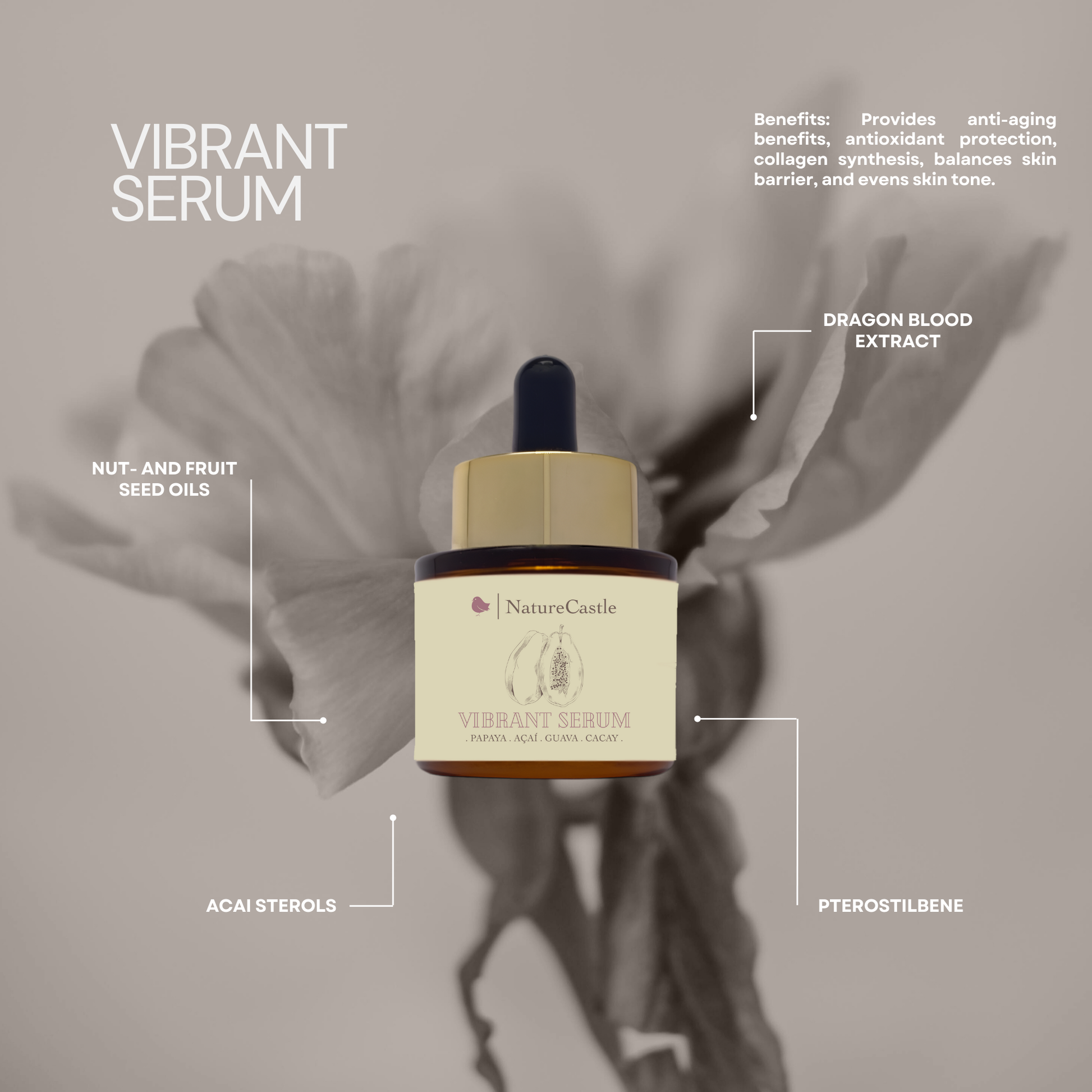 Vibrant Serum Key Ingredients-1