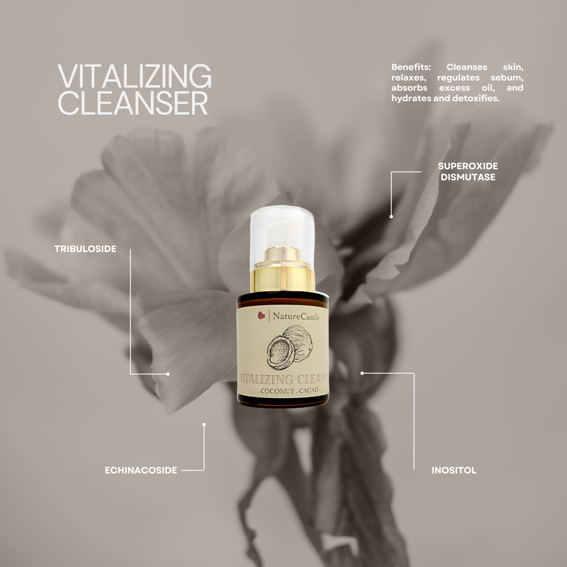 Vitalizing Cleanser Key Ingredients-1