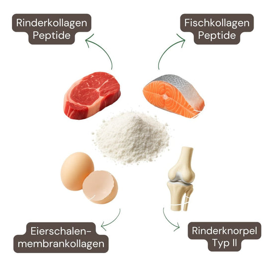 Multi Kollagen Pulver 400g